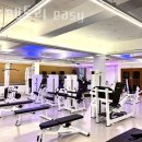 머슬팩토리 easy 이미지