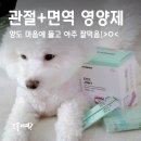닥터아이펫 동물병원 | 믿을 수 있는 동물병원영양제, 닥터뮨 강아지 관절영양제