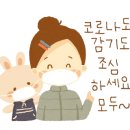 초이펫 이미지