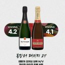 돌아온파이퍼