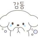 토파즈음악학원