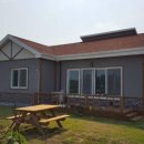 표선리-11 이미지