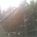 전망좋은 방 이미지