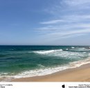해변 | 강원도 강릉시 사근진해변 방문 후기