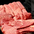 백억환경 이미지