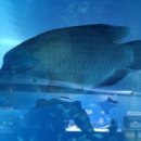 국립공원공단 국립공원야생생물보전원 북부보전센터 이미지