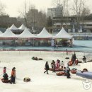 파라다이스회관