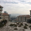 분당-354 이미지