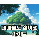 저구항민박 | 대매물도 가는방법과 숙소, 아름다운 섬 여행 팁