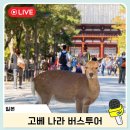 포트캔커피역사문화공원역점 | 오사카 나라 고베 버스투어 당일치기 사슴공원 라쿠투어 예약 후기