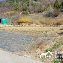 이기영공인중개사사무소 이미지