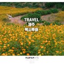 동산기사식당 | 제주도 가을여행 2박 3일, 제주택시투어로 즐긴 제주투어팸 후기