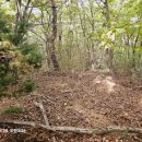 울대2리 이미지