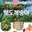 반디농원 이미지