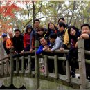 송원대학교 이미지