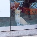 (주)묵호택시 | ⛱️ 동해 2일차 여행 후기 라스트팡!😆 (묵호! 뚜벅이)