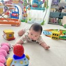 울산 남구 야음장생포동 행정복지센터 이미지