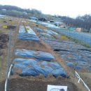 안서농장 이미지