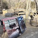 애니베어 | 포천 마이애니멀스토리 in 평강랜드 테디베어소 후기