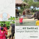 엘레펀트 | 방콕코끼리보호소체험 - 방콕엘레펀트파크 후기사진