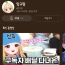배달의 망구 시청자편 내 최애 버츄얼 망구랑 만난 후기