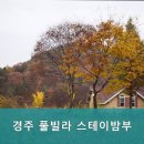 스테이 밤부 이미지