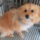 지정면복지회관 이미지