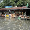 제주 무태장어 서식지 | 제주도, 서귀포 아이랑 갈만한 곳 3대 폭포인 &#39;천지연폭포&#39;