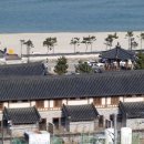 오토오아시스 아산푸른점 | 🌊 바다 앞 한옥 감성 숙소, ‘망상 오토캠핑장 한옥촌’ - 동해 감성 힐링 여행