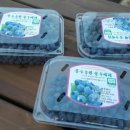 문수농장 2 이미지