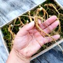 조성근농장 이미지