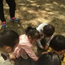 옥성초등학교 병설유치원 이미지