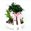 부흥철물건재 이미지