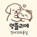멍뜰리에 네이버블로그