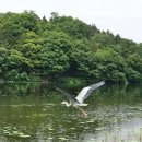 나래솔공원 이미지