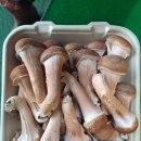 성산농장 네이버블로그