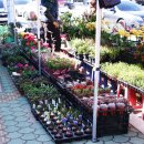 송지시장 이미지