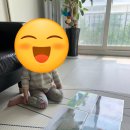 노래하는딱따구리 | 노래하는 크레용 수업 후기/ 5월 상상 수업을 만나보자