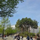 J-003 | 불꽃야구 시즌2)개막 첫 경기 파이터즈vs연천미라클 직관후기(티켓팅 직관 예매 꿀팁, 잔여석 정보)