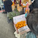 무지개마트 | [서울여행] 서울 봄 나들이로 딱인 힙한 농부 마켓 마르쉐 다녀온 후기🌿
