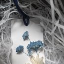 향기담기 이미지