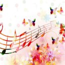 별님과바다 이미지