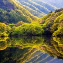 청송나무집 | 🏔️혼자여행 청송군 2박3일 여행 가이드🏔️