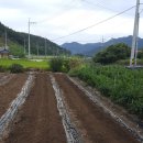 들녘농장 이미지