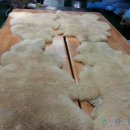 세탁천재 이미지