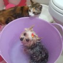 무지개 동산 이미지