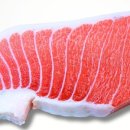 참치통
