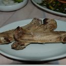 청둥오리랑닭이랑
