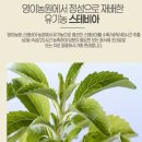 건강한세상식품 | 건강식품선물] 부모님선물로 딱이야! 한 포씩 간편한 유기농스테비아 저당식품 후기 (feat. 명절선물 추천)