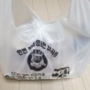 영광이네 이미지